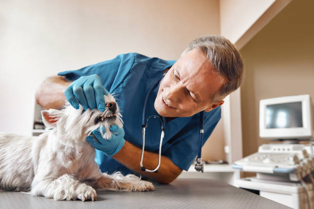 Best Emergency Tooth Extraction in Fruitland Park, FL